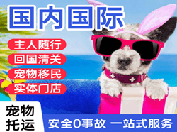 通辽航空运输国际宠物托运 【国